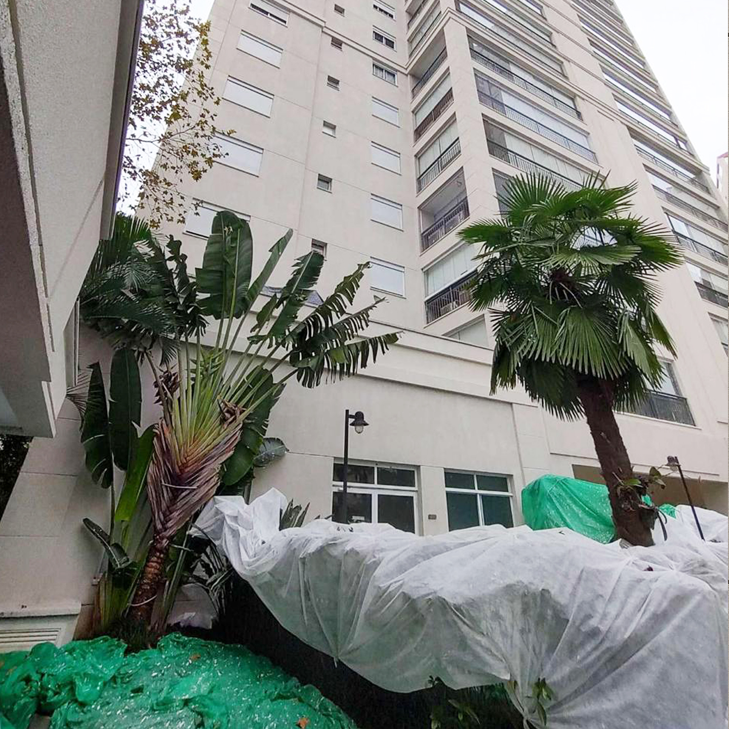 <small>PINTURA PREDIAL:</small> CUIDAR DAS PLANTAS É ESSENCIAL NA OBRA!